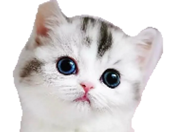 :Chat_pensif: