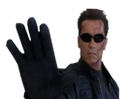 :stop_terminator: