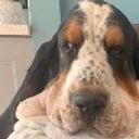 Pouvoir