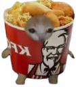 :ChaFC3: