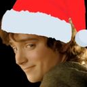 :Frodon_noel: