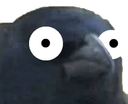 :corbeau_choc: