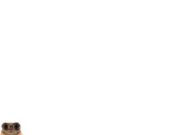 :Mini_roux: