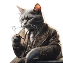 :cat11: