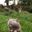 Photo de profil de Pomplamoose