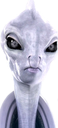:lamasu: