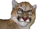 :tigrent: