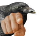 :corbeaupoint:
