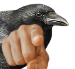 :corbeaupoint: