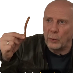 :Soral_frite_carbonised: