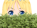 :alice13: