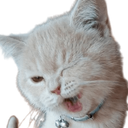 :Chat_clin_d_oeil_: