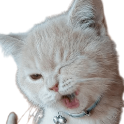 :Chat_clin_d_oeil_: