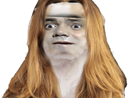 :Chien_Bourdon_Cheveux_long: