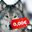 Photo de profil de loup_gratuit