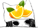 :ChapoOrange: