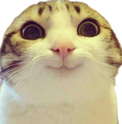:Chat_marrant_: