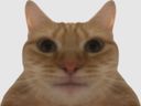 :Chat_mirroir: