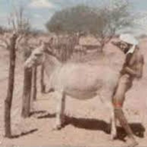 Baiseur2chevre