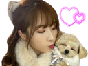 :haseulchien: