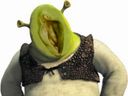 :Vulve_shrek: