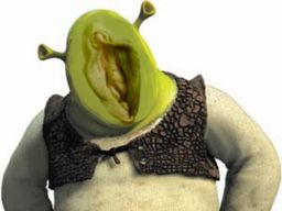 :Vulve_shrek: