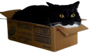 :Chat_carton: