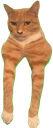 :Catorange: