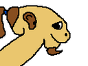 :LF_Boognool: