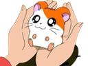 :Hamtaro_mignon: