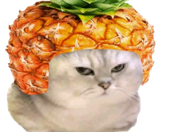 :chananas: