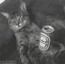:Chat_marlou_fatigue_: