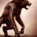 Werewolf