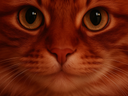 :ChatZoom8K5: