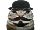 :CS_Know: