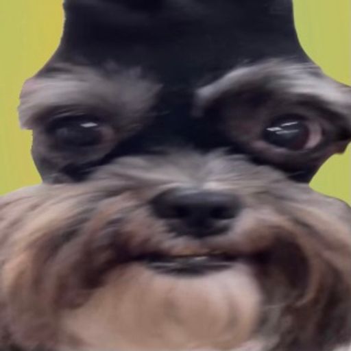 ChienMangeFion