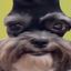 Photo de profil de ChienMangeFion