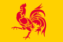 :wallonie:
