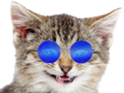:cat_silly_bleu: