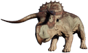 :Nasutoceratops: