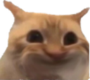 :ChatLimitPeur: