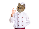 :sodium_chef_approuve:
