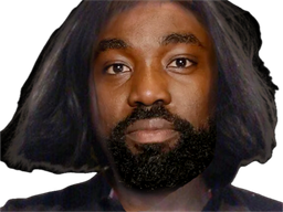 :Rogue_noir_ape: