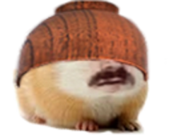 :Hamster_aveugled:
