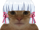 :chatkj: