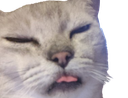 :Chatgolmon4: