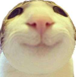 :chat_marrant_rond: