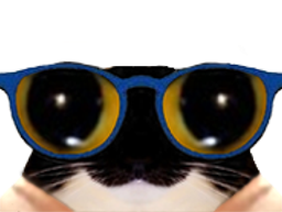 :chat_lunettes3: