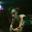 Photo de profil de Starfield