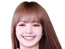 :lisa4: